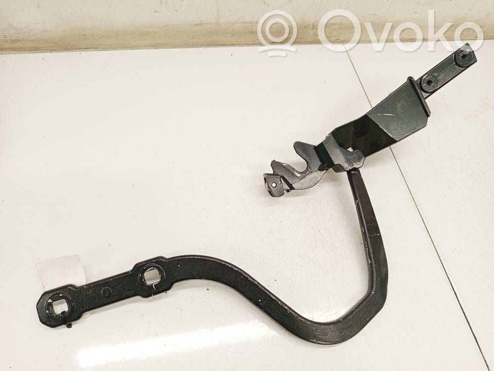 Tailgate/trunk/boot hinge   1037410,200400095,1037410,200400095