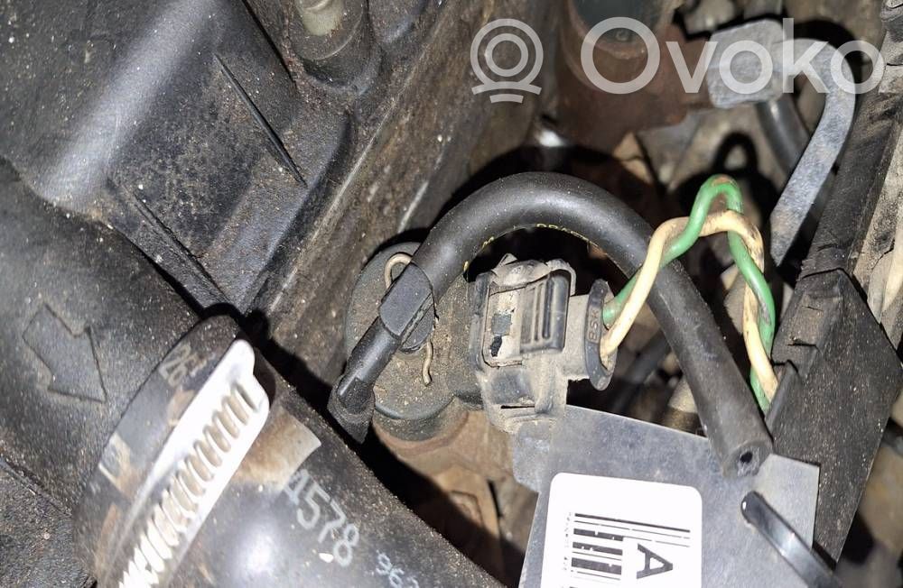 Peugeot 406 Injector combustibil 