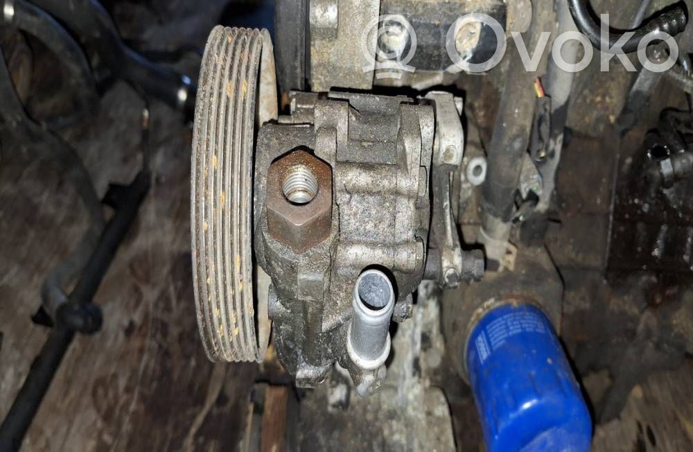 Peugeot 406 Pompă servodirecție 