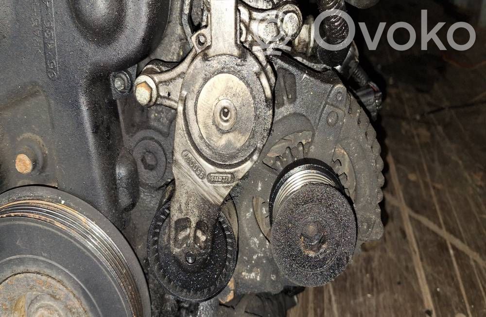 Tendicinghia generatore/alternatore   950007,950007