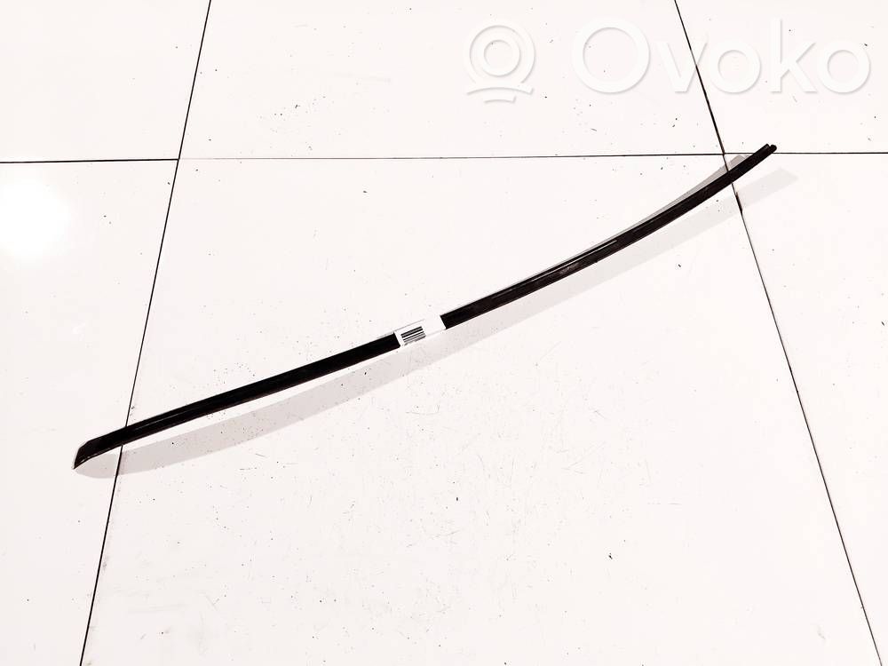 Volkswagen PASSAT B6 Rivestimento parabrezza 