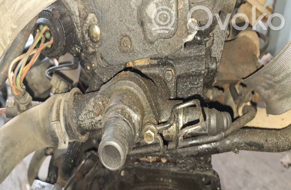 Seat Alhambra (Mk1) Tubo flessibile del liquido di raffreddamento del motore