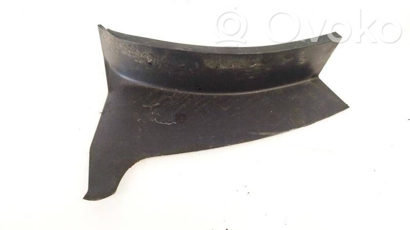Moldura del limpia
