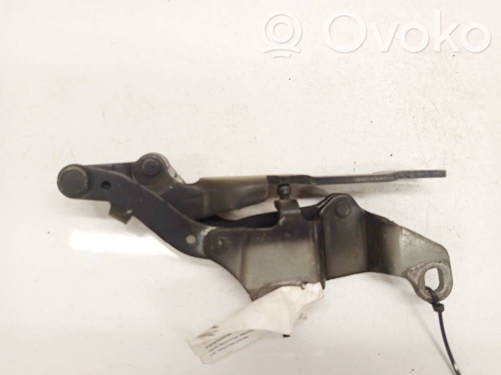 Engine bonnet/hood hinges   415324,415324