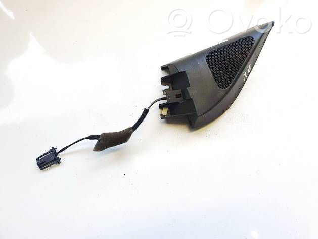 Volkswagen PASSAT B6 Altoparlante portiera anteriore 