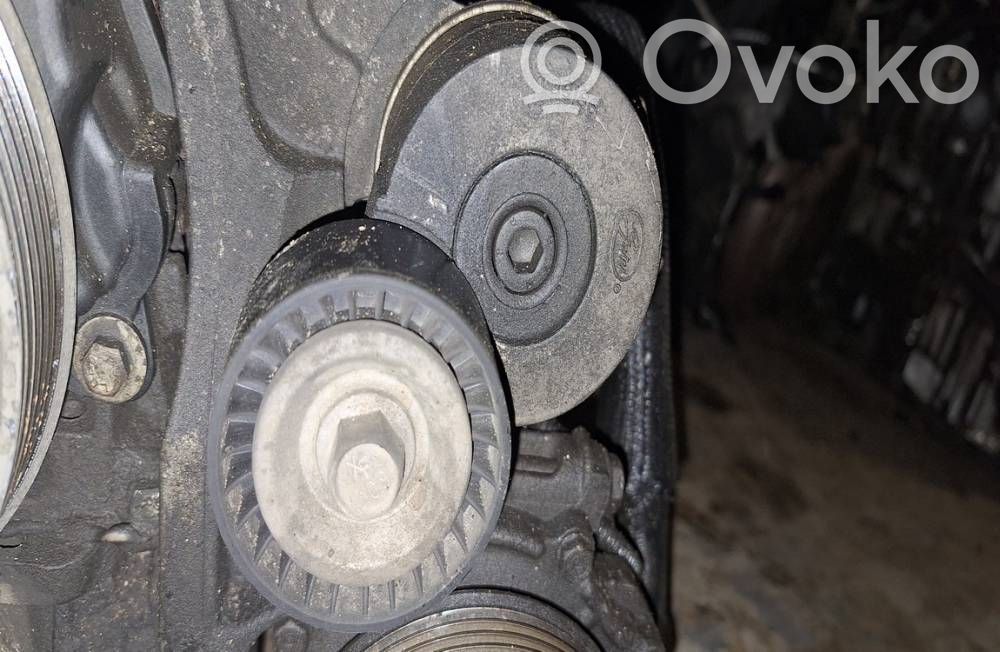 Citroen C5 Napinacz paska alternatora 