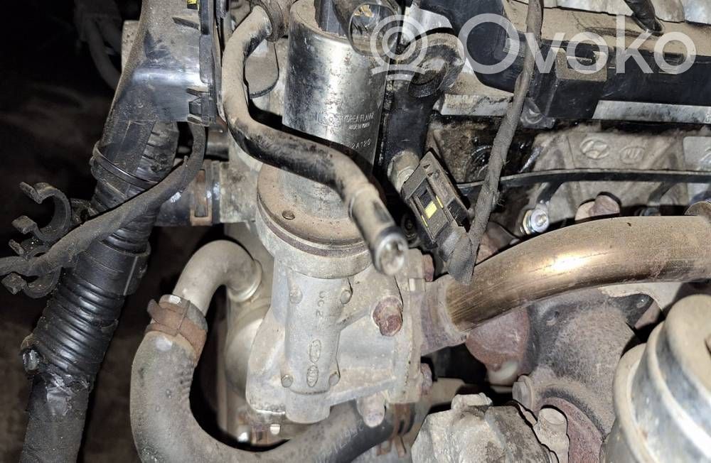 Zawór EGR   284102A120,284102A120