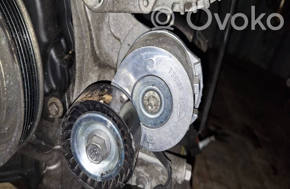 Ford Kuga I Napinacz paska alternatora 