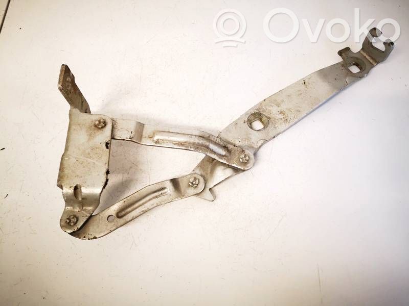 Konepellin saranat   81663G,81663G,ES71