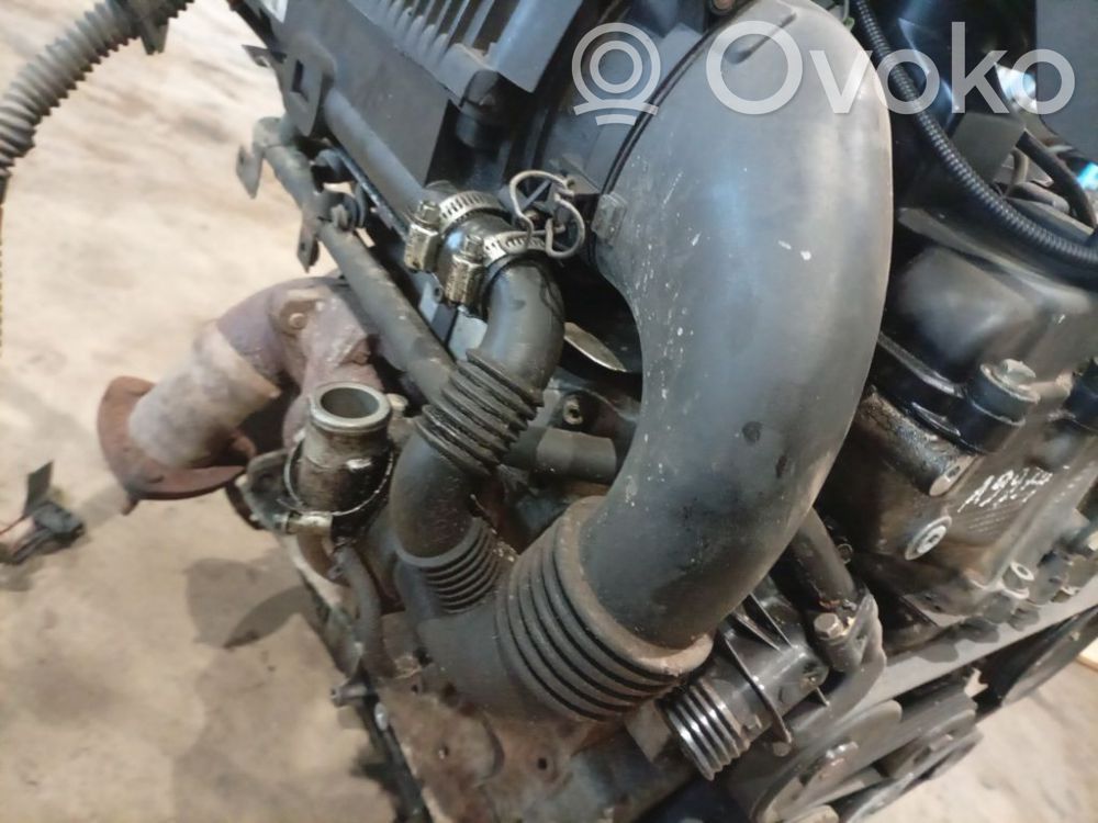 Tubo flessibile intercooler