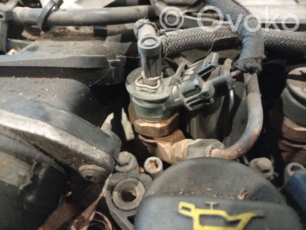 Inyector de combustible   0445110297,0445110297,0445110297