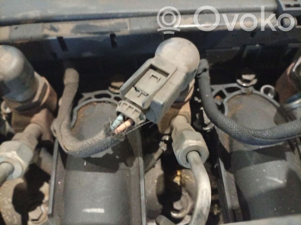 Citroen C4 I Picasso Injector combustibil 