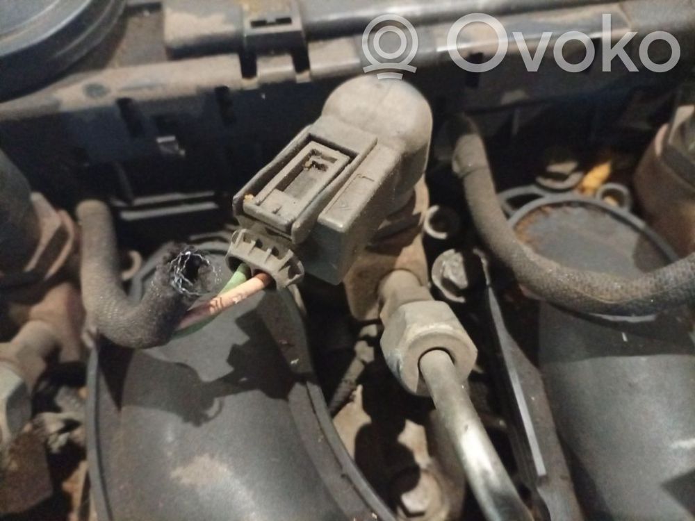Citroen C4 I Picasso Injector combustibil 