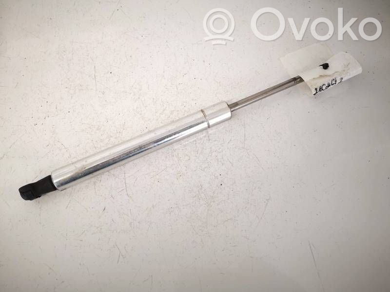 Volkswagen Phaeton Amortizor capotă motor 