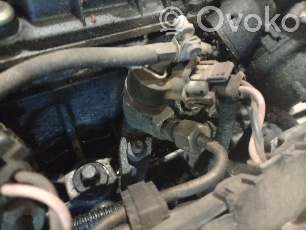 Peugeot 406 Iniettore 