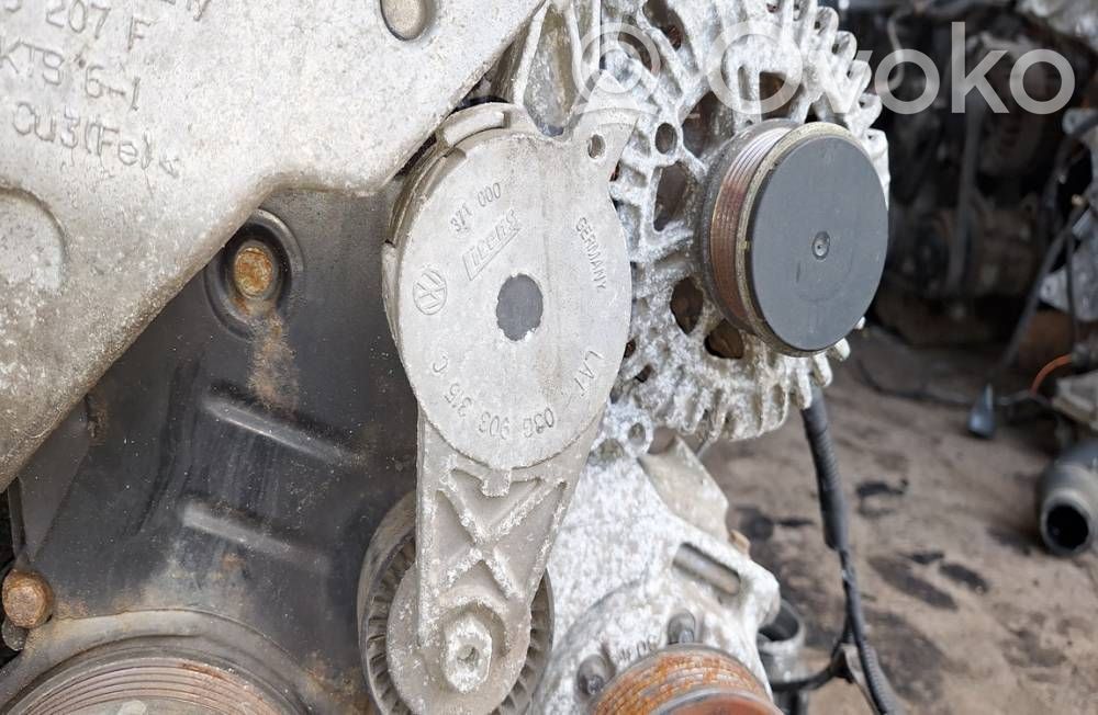 Volkswagen PASSAT B6 Tendicinghia generatore/alternatore
