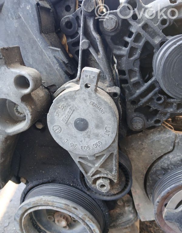 Tensor de correa del alternador   03G903315C,03G903315C,03G903315C