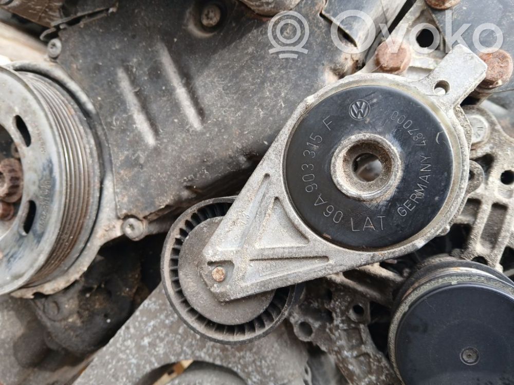 Skoda Octavia Mk2 (1Z) Întinzător curea generator/alternator 