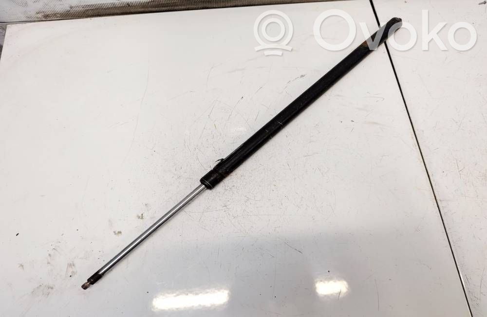 Chrysler Voyager Ammortizzatore portellone posteriore/bagagliaio 