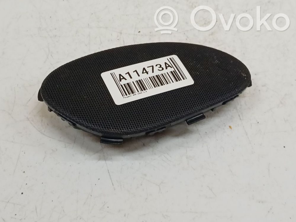 Peugeot 406 Altoparlante portiera anteriore 