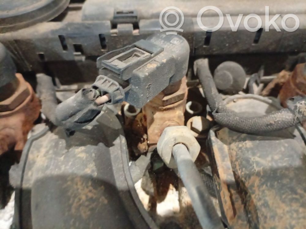 Peugeot 307 Injector combustibil