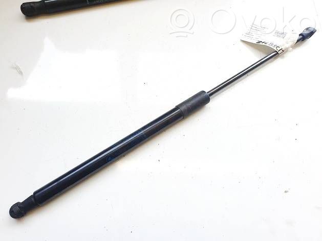 BMW 1 F20 F21 Ammortizzatore portellone posteriore/bagagliaio 