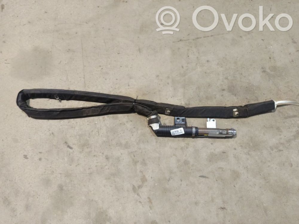 Renault Vel Satis Airbag del techo 