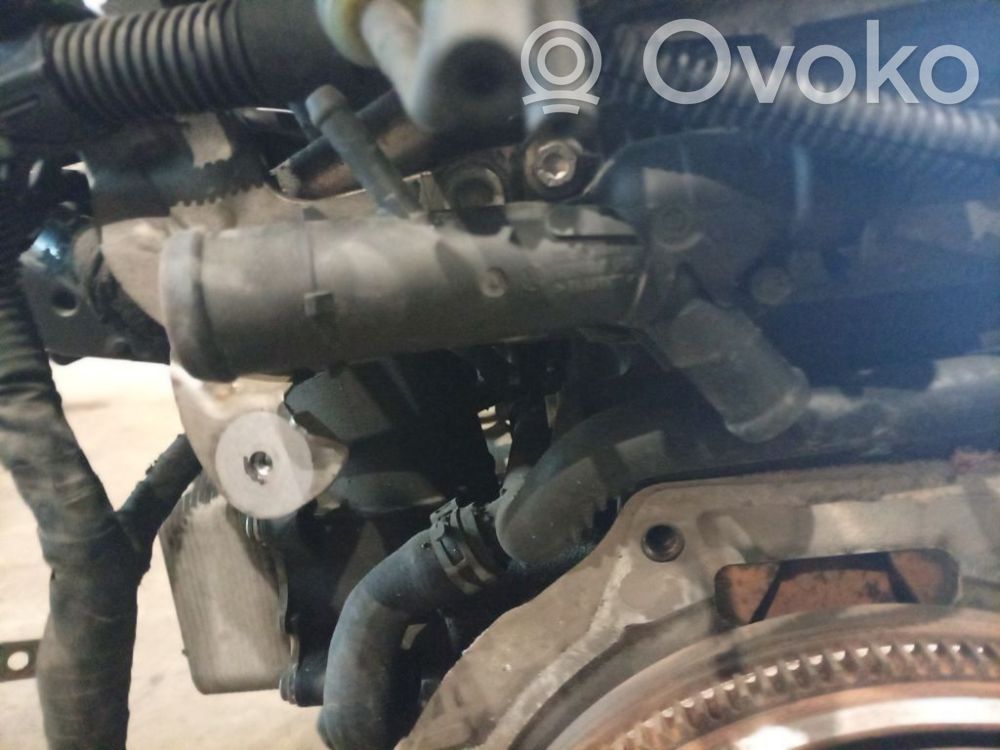 Seat Ibiza IV (6J,6P) Tubo flessibile del liquido di raffreddamento del motore