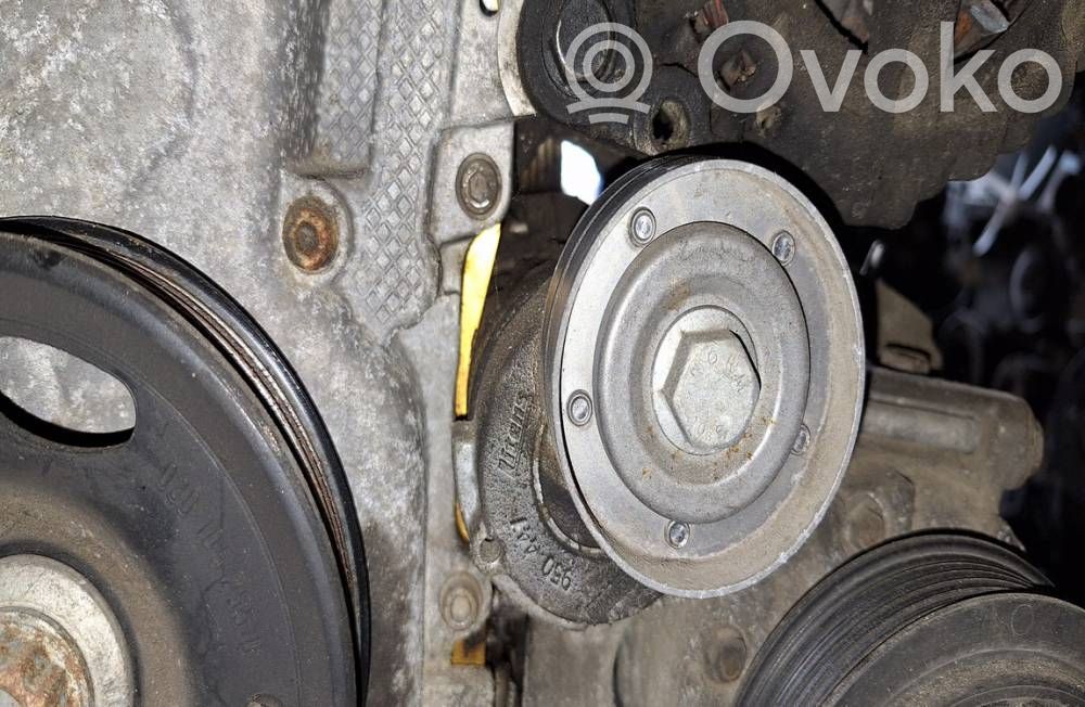 Skoda Octavia Mk2 (1Z) Tendicinghia generatore/alternatore 
