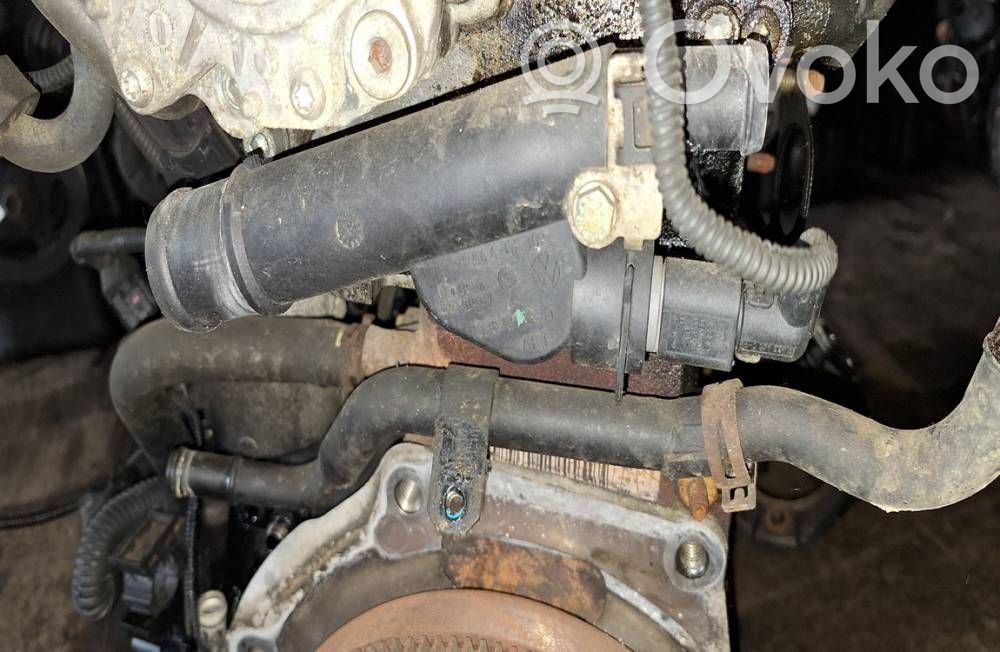 Audi A3 S3 8P Tubo flessibile del liquido di raffreddamento del motore