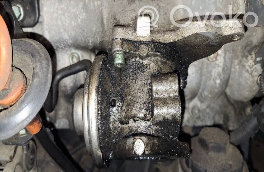 Audi A3 S3 8P Valvola EGR