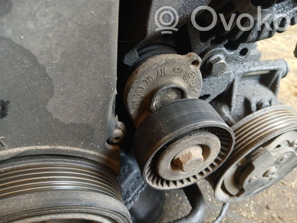 Skoda Roomster (5J) Tendicinghia generatore/alternatore 