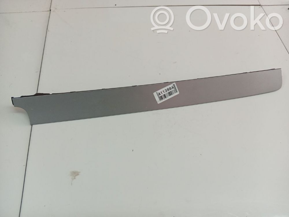 Volkswagen PASSAT B6 Rivestimento del pannello 