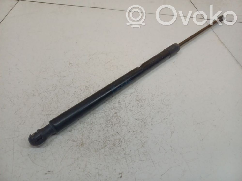 Opel Insignia A Ammortizzatore portellone anteriore/cofano 