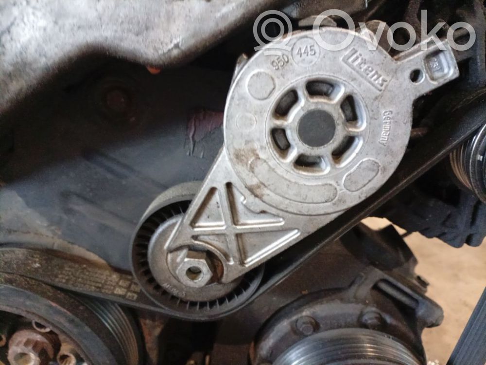 Volkswagen PASSAT B6 Întinzător curea generator/alternator 