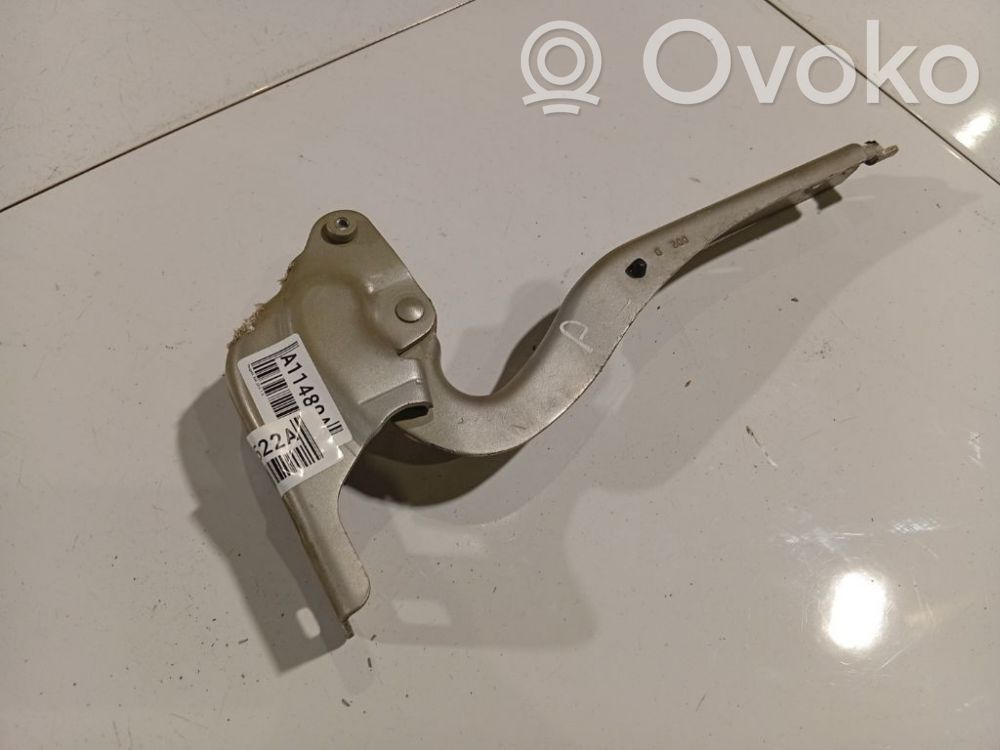 Peugeot 508 Cerniere del vano motore/cofano 