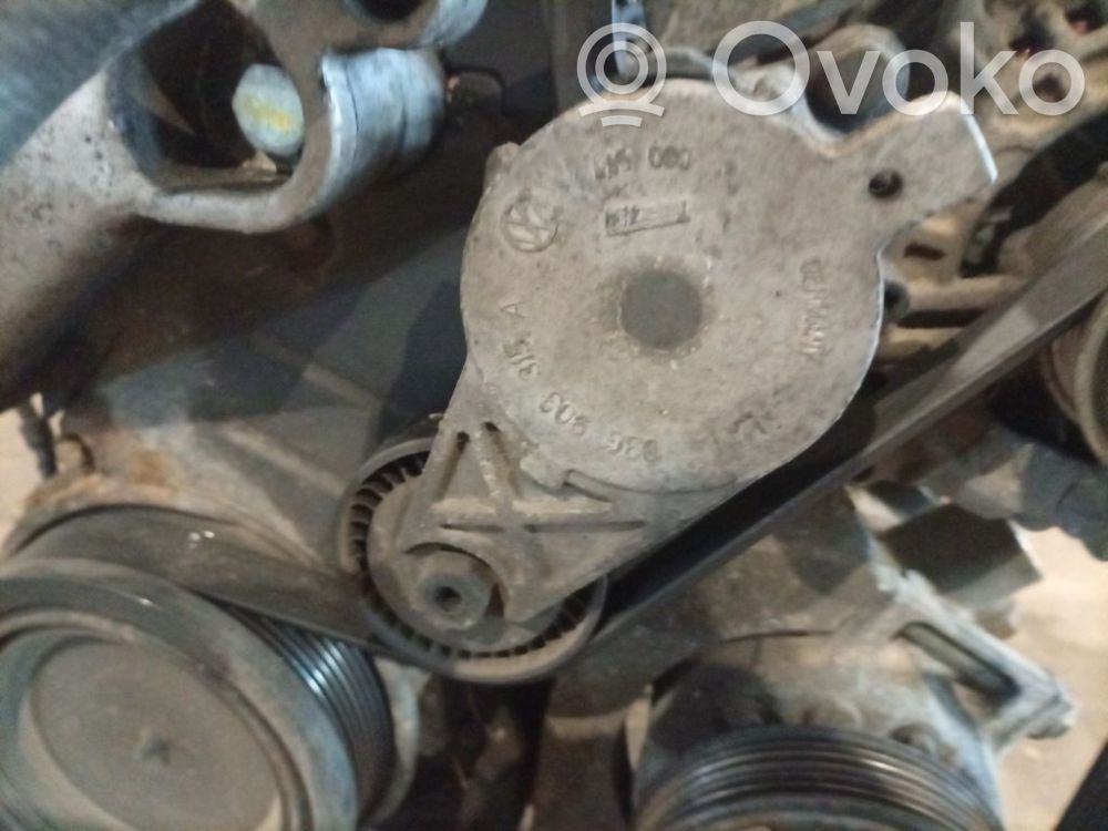 Skoda Octavia Mk2 (1Z) Întinzător curea generator/alternator 