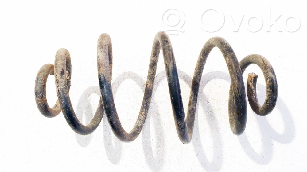 Muelle espiral trasero