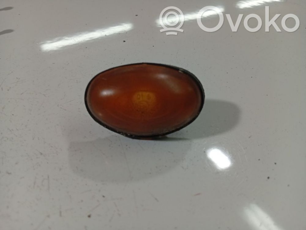 Front fender indicator light