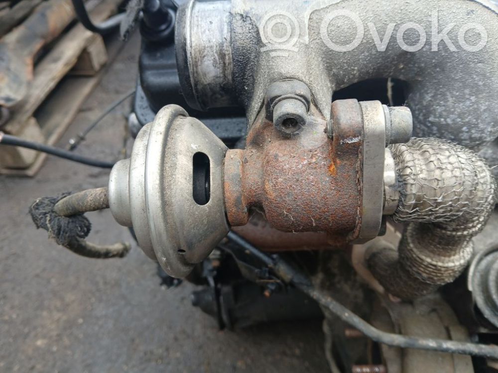 Volkswagen PASSAT B5 Valvola EGR 