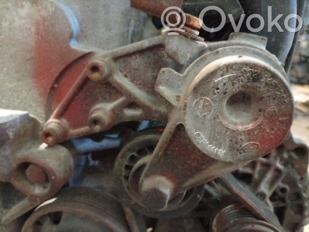 Volkswagen Transporter - Caravelle T5 Întinzător curea generator/alternator 
