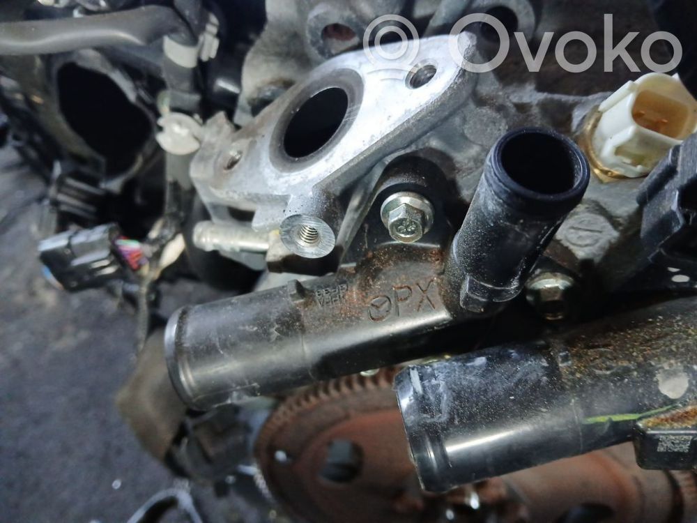 Engine coolant pipe/hose   240807,240807,240807