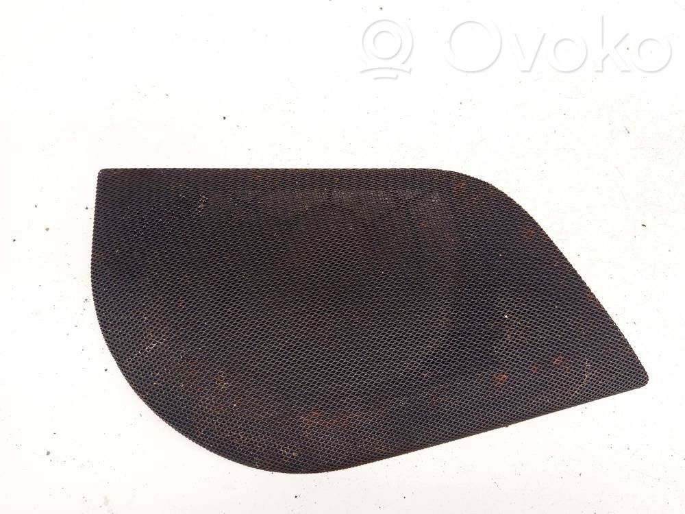 Moldura protectora del altavoz lateral   100769600A,100769600A