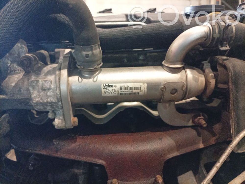 Citroen C4 Grand Picasso Refroidisseur de vanne EGR