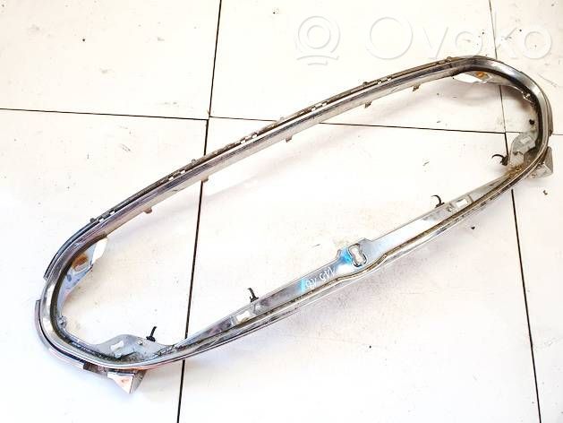 Rejilla delantera   101741400D,101741400D,101741400D