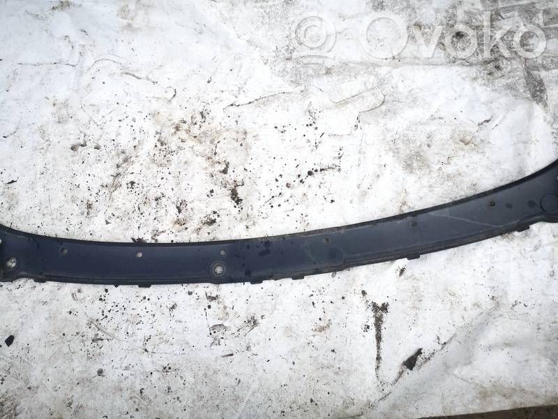 BMW 5 F10 F11 Apărătoare ștergătoare 