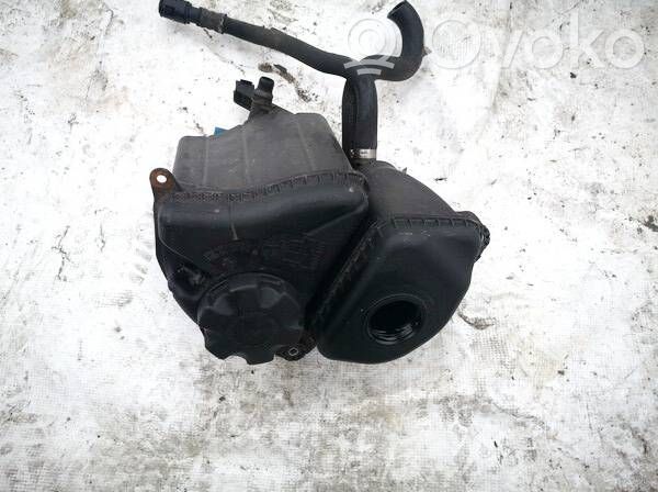 BMW 5 F10 F11 Vas expansiune/rezervor lichid de răcire 