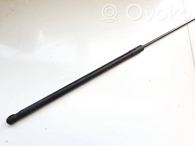 Volkswagen PASSAT B7 Amortizor capotă motor 