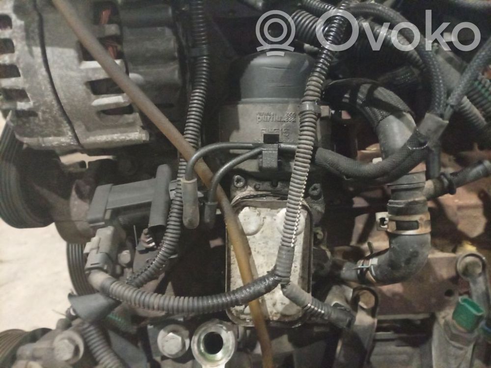 Citroen C5 Coperchio del filtro dell’olio