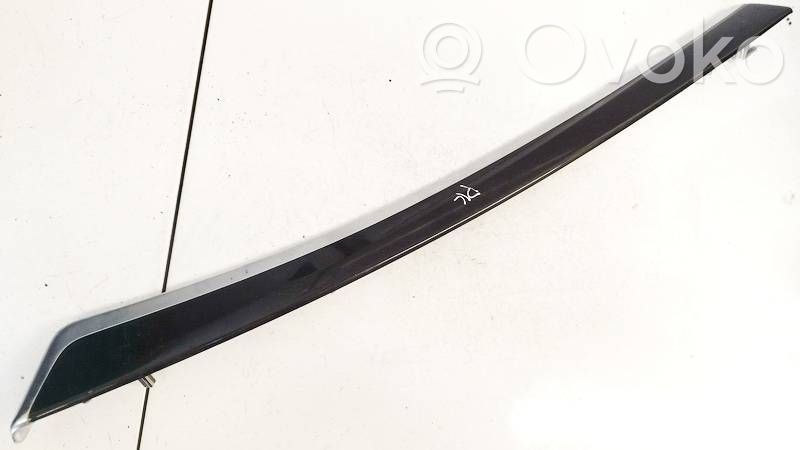 BMW 5 GT F07 Muu etuoven verhoiluelementti 